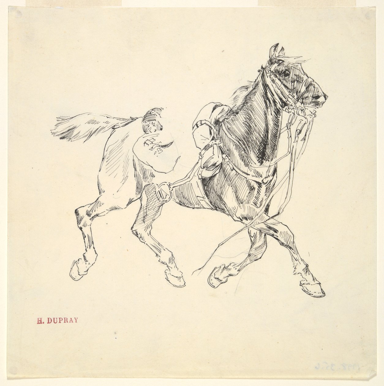 Cheval militaire - Henri Louis Dupray