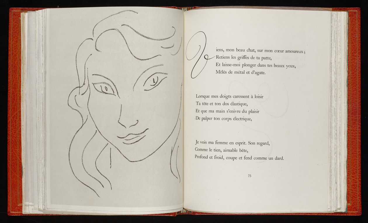 Fleurs du mal - Henri Matisse