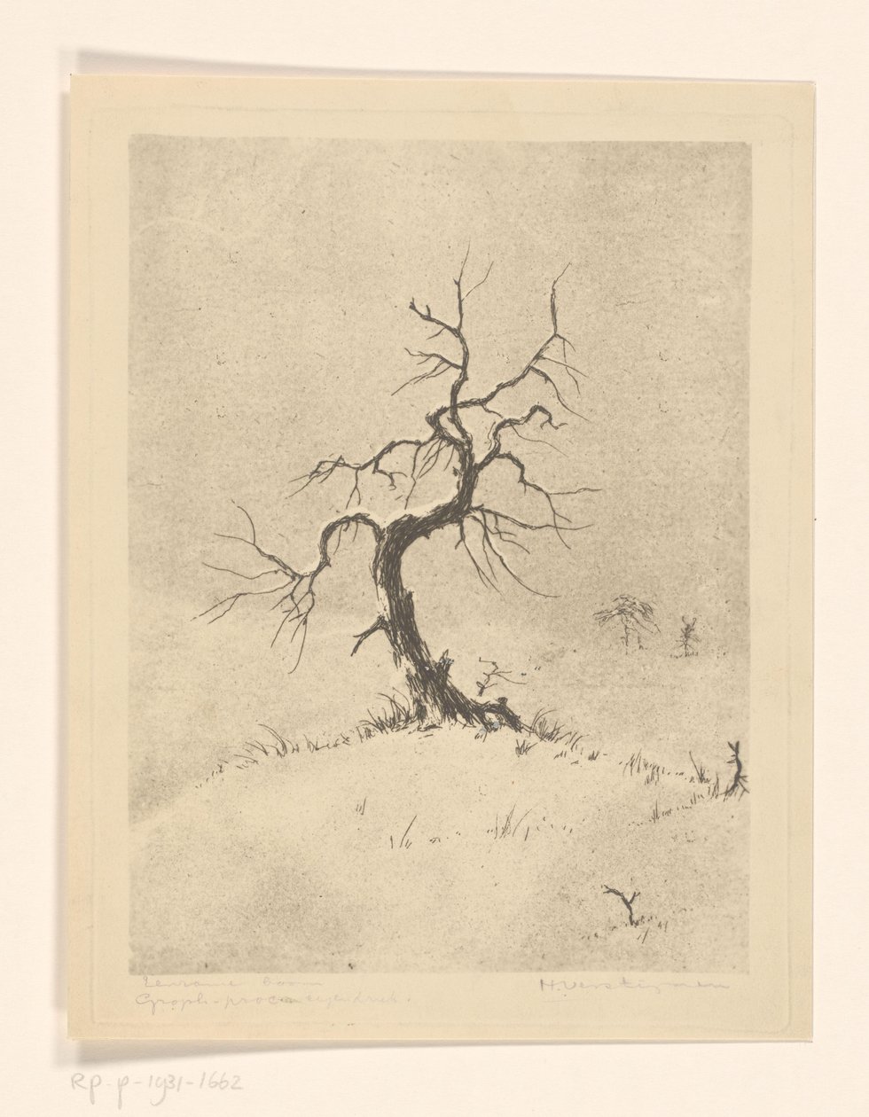 Arbre solitaire - Henri Verstijnen (signed by artist)
