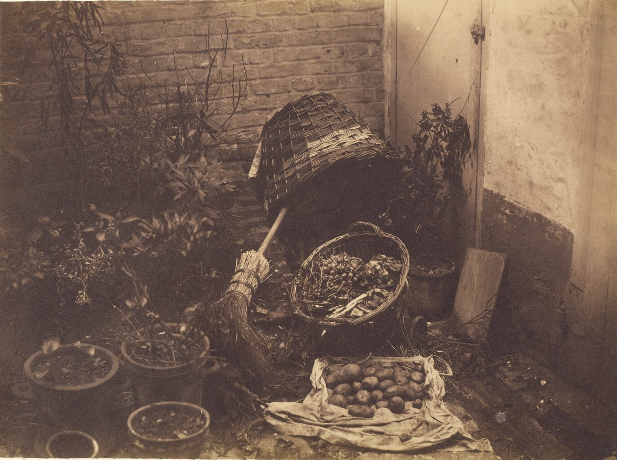 [Nature morte avec paniers de paille, balai, sac de pommes de terre ouvert et plantes en pot]. - Henri Victor Regnault