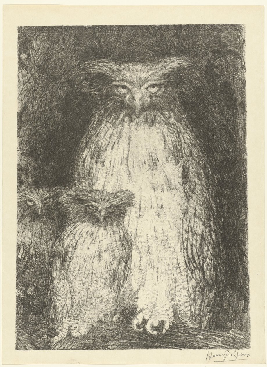Chouette avec deux chouettes assises sur une branche (Étude de trois chouettes, L