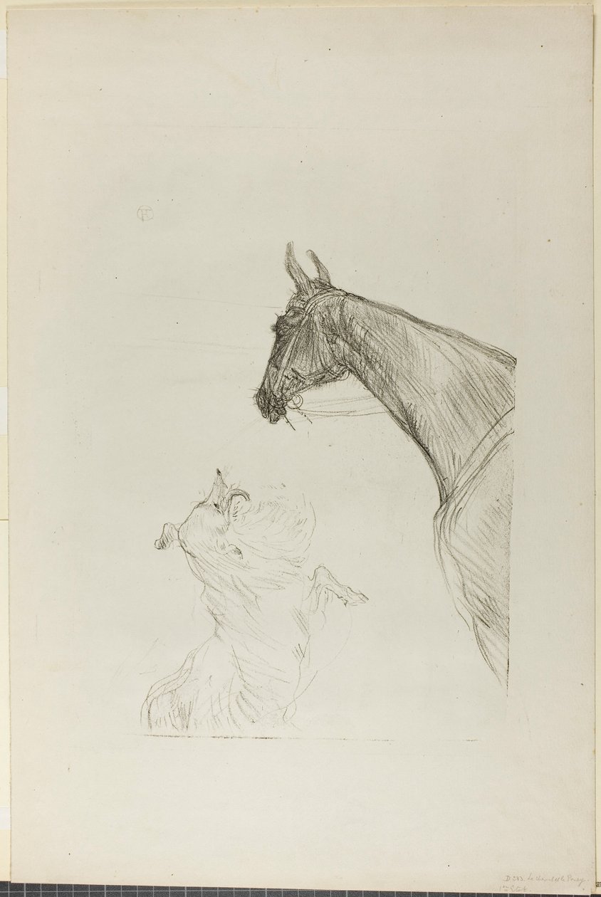 Cheval et colley - Henri de Toulouse-Lautrec