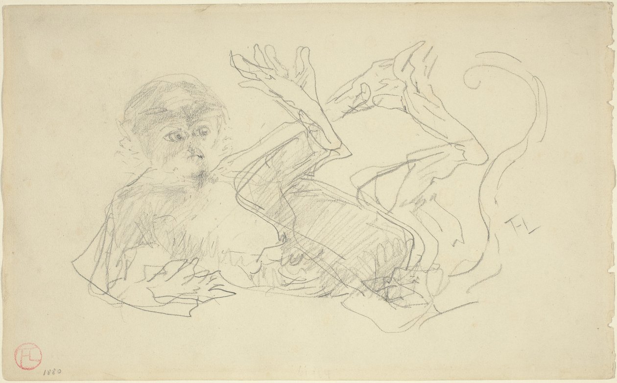 Un singe jouant sur le dos - Henri de Toulouse Lautrec