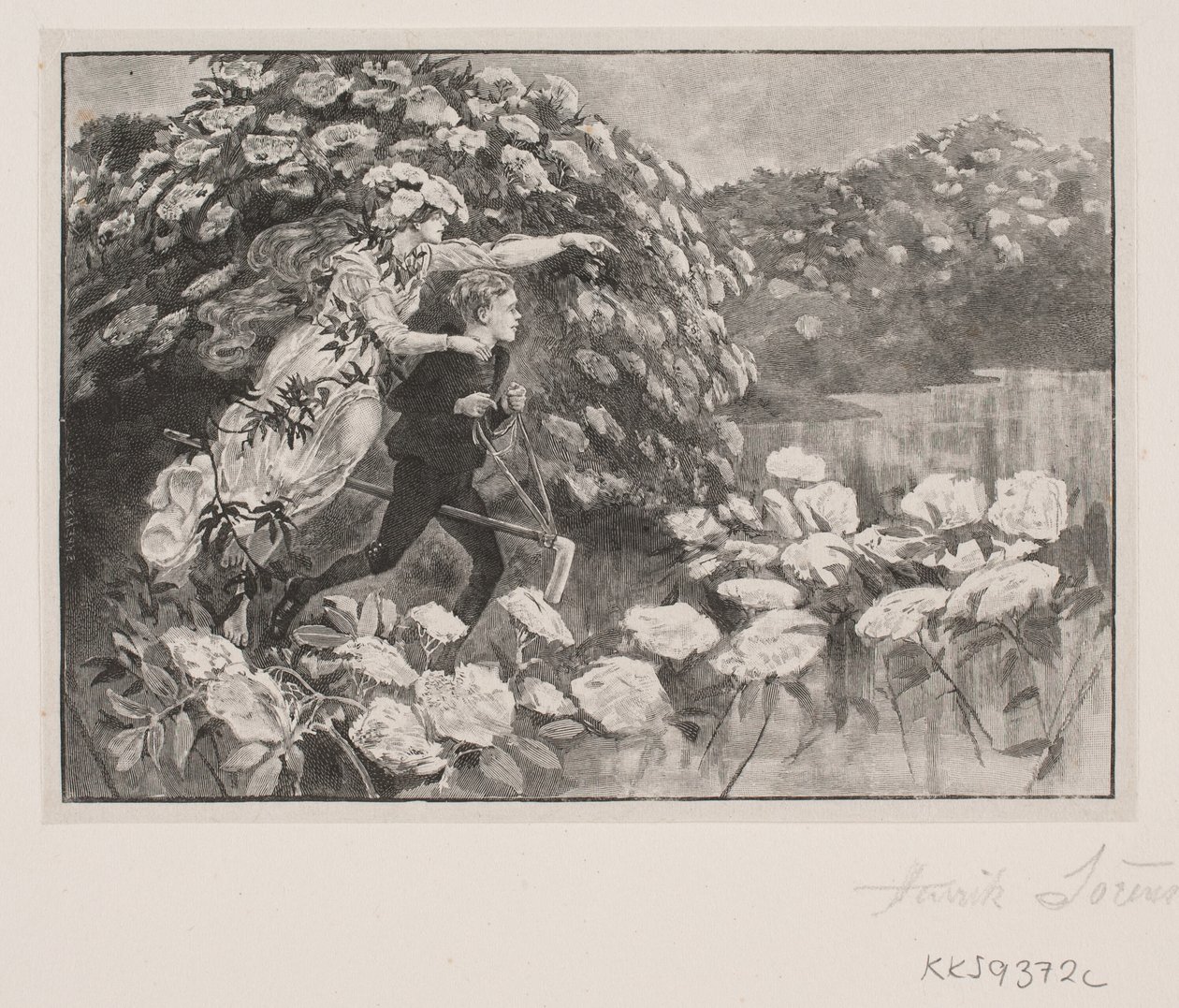 Illustration de H. C. Andersen : "La Mère Sureau" - Henrik Arnold Hamilkar Sørensen