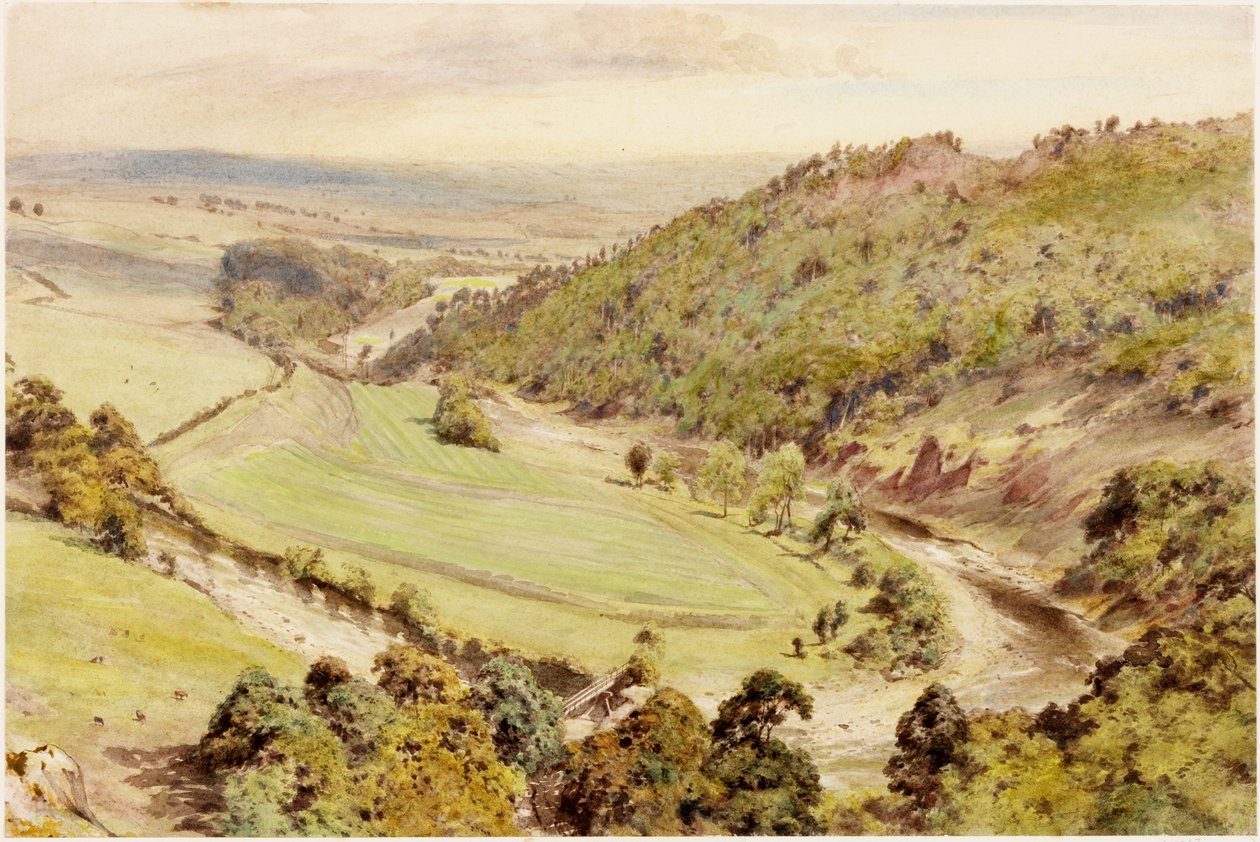 Birdoswald - Henry Burdon Richardson
