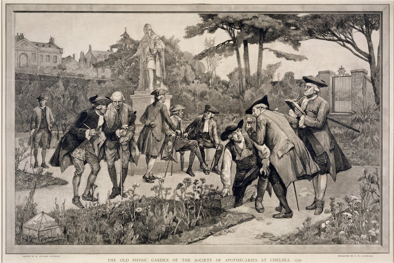 Le vieux jardin de physique de la Société des Apothicaires à Chelsea, 1750, gravé par Thomas W. Lascelles, 1890 - Henry Gillard Glindoni
