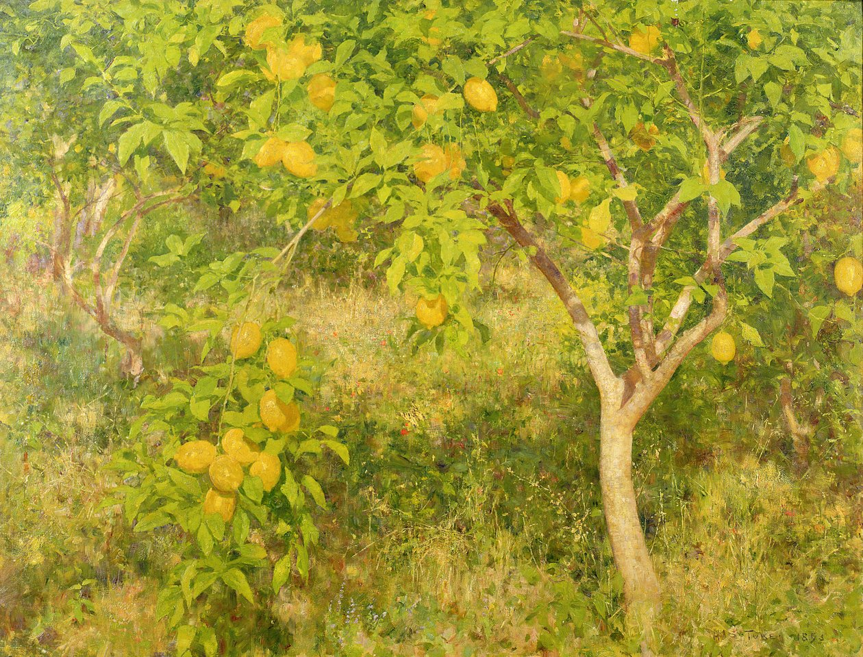 Le citronnier, 1893 - Henry Scott Tuke