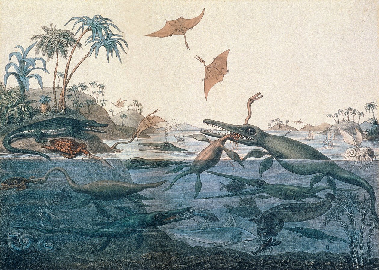 Duria antiquior (Ancien Dorset), une reconstruction imaginative de la vie des mers jurassiques, gravée par George Scharf et imprimée par Charles Joseph Hullmandel - Henry Thomas De La Beche