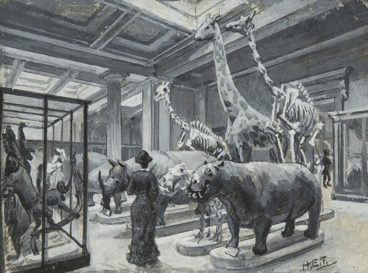 Vue intérieure du British Museum montrant la galerie contenant des expositions d
