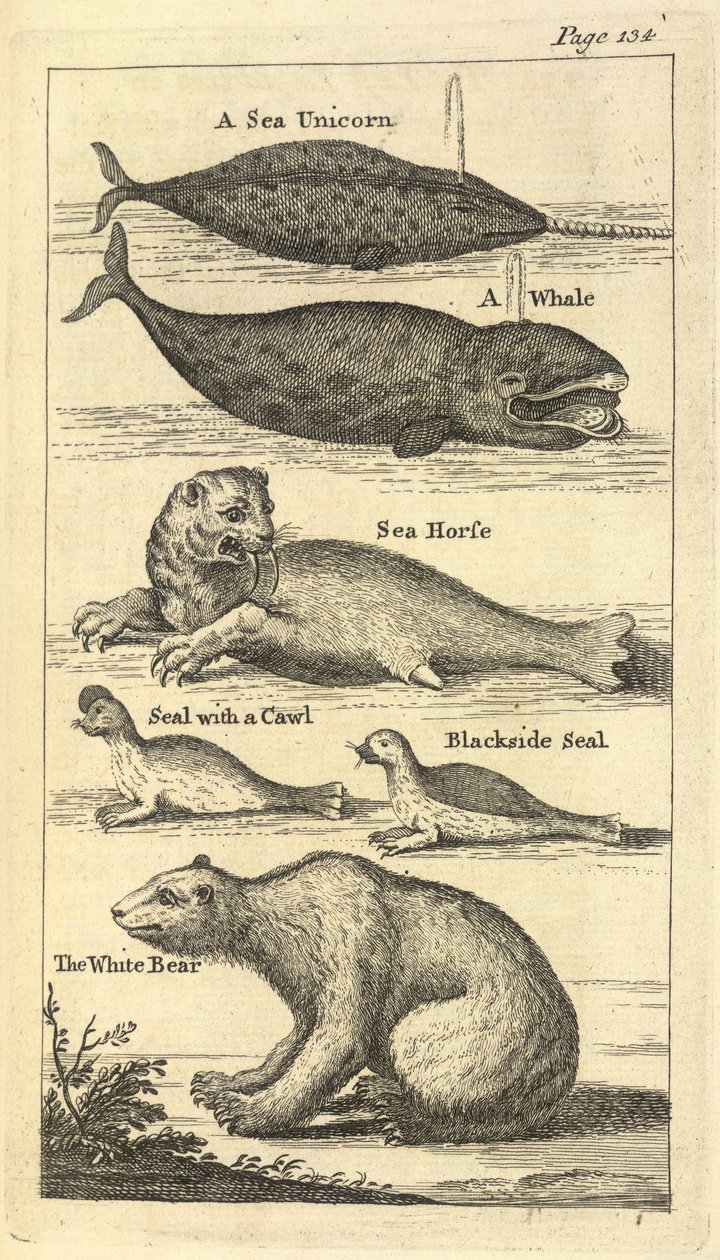 Plusieurs créatures, de 