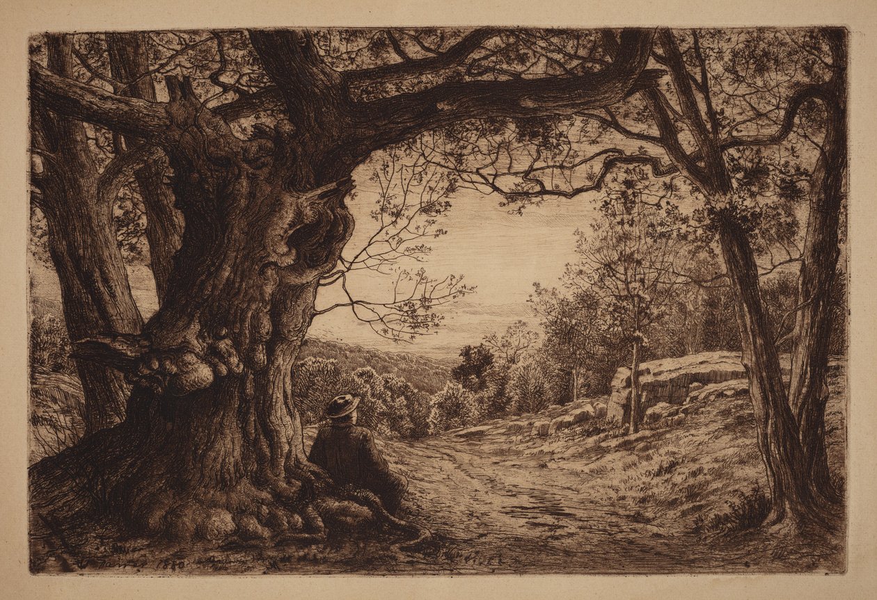Sur le flanc de la colline - Henry Farrer