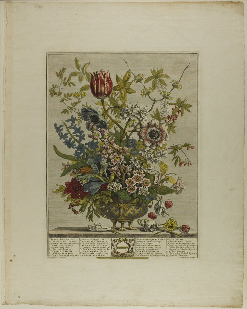 Février, des Douze Mois de Fleurs - Henry Fletcher