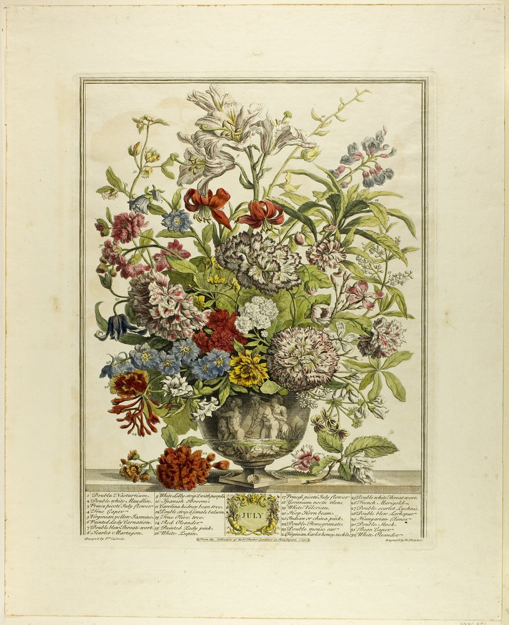 Juillet, tiré de Douze mois de fleurs - Henry Fletcher