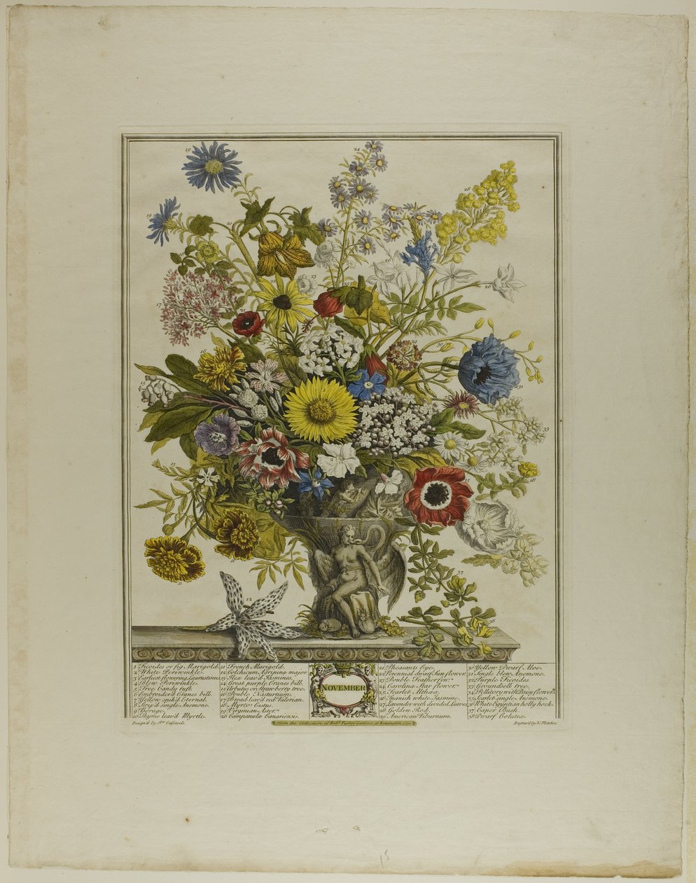 Novembre, de Douze mois de fleurs - Henry Fletcher