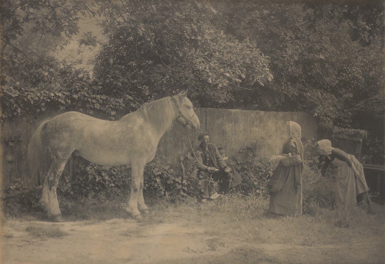 [Old Dapple] - Henry Peach Robinson