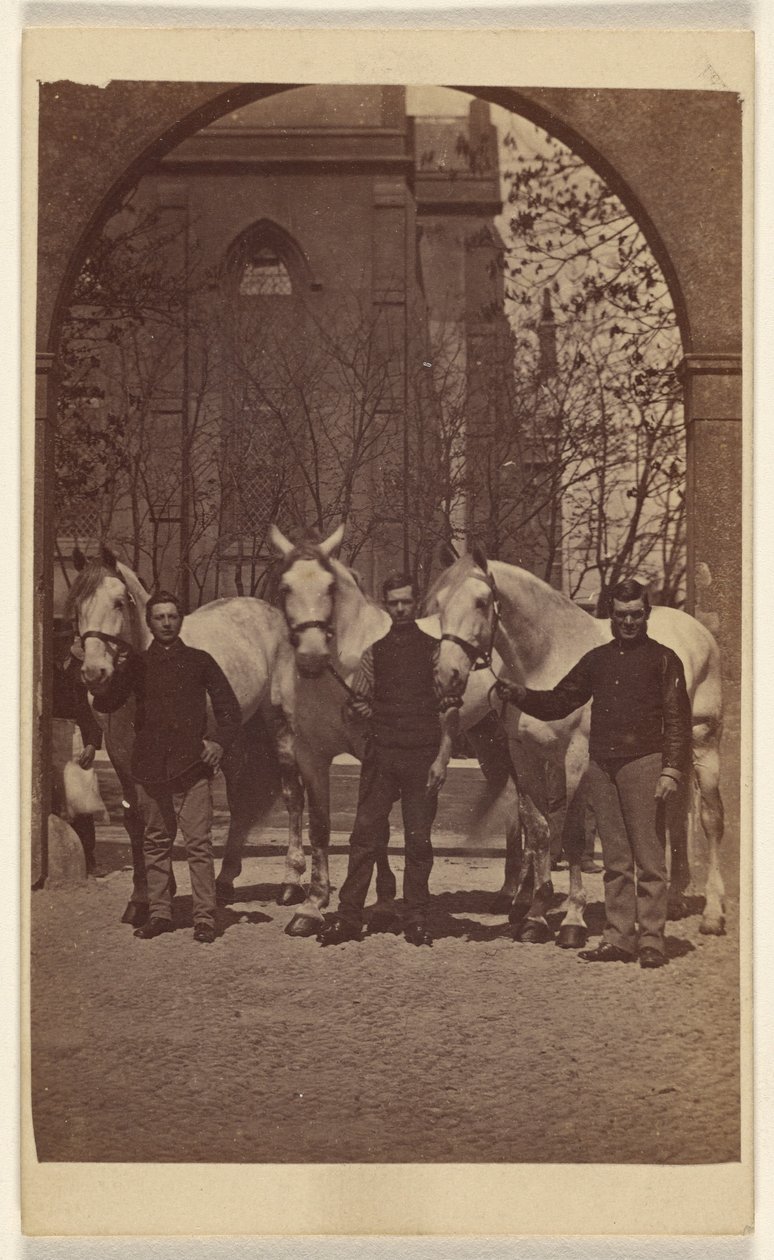 [Trois hommes posant avec trois chevaux blancs]. - Henry Pointer