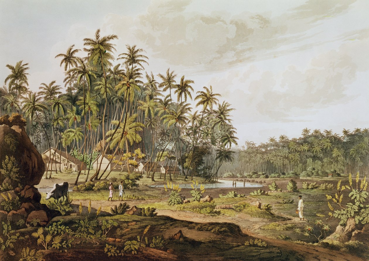 Vue près de Point du Galle, Ceylan, gravée par Daniel Havell (1785-1826) publiée en 1809 - Henry Salt