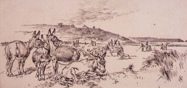 Ânes sur le parcours de golf, illustration du magazine 