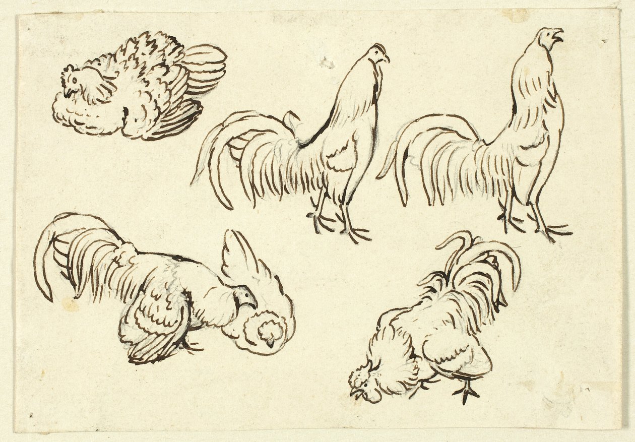 Croquis de volailles - Henry Stacy Marks
