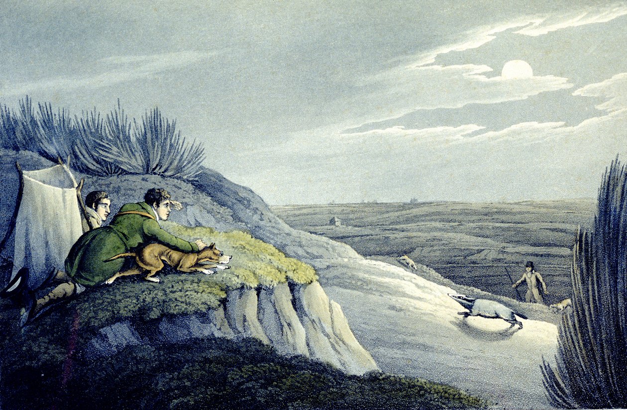 Capture de blaireau des National Sports of Great Britain (gravé par J.H. Clarke) - Henry Thomas (after) Alken