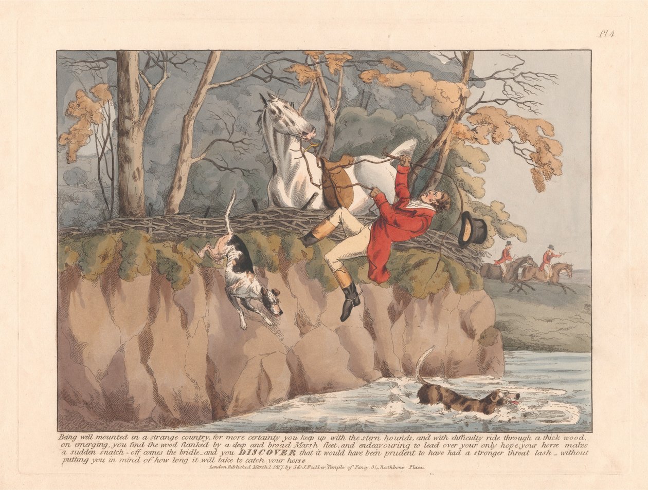 [Découvertes de chasse] ... Découvrir qu