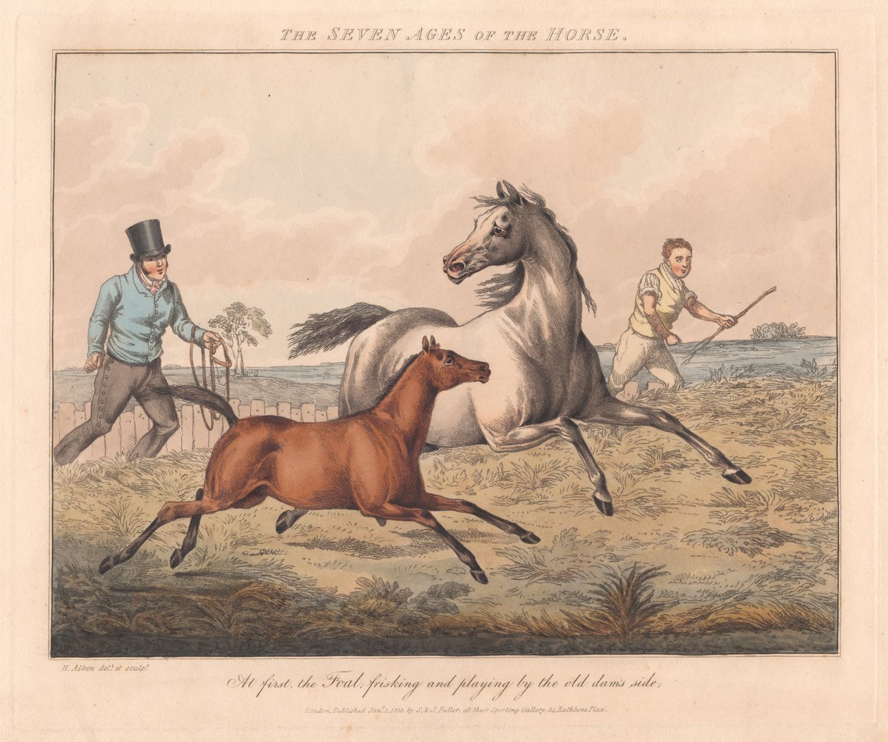 Ensemble de sept : Les sept âges du cheval - Henry Thomas Alken