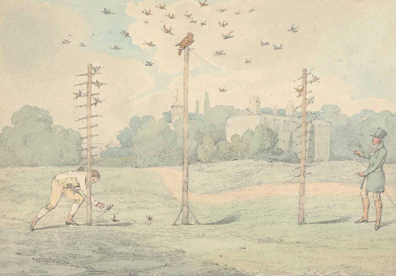 « Les sports nationaux de Grande-Bretagne », 1821 : la chasse à la chouette - Henry Thomas Alken