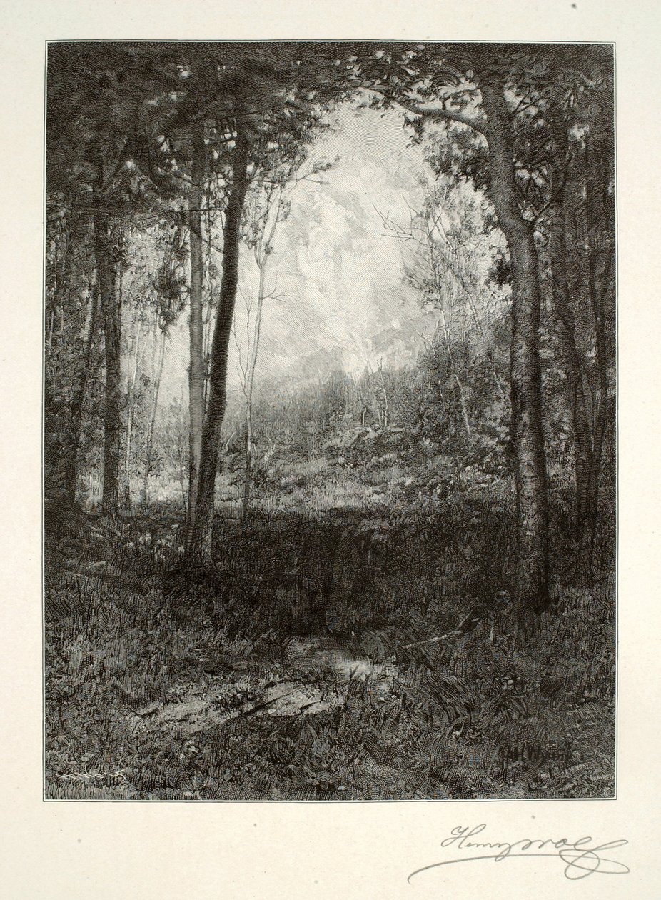 Dans les Adirondacks - Henry Wolf