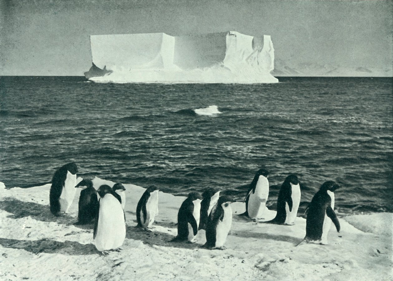 Un iceberg dérivant dans le détroit de McMurdo - Herbert Ponting