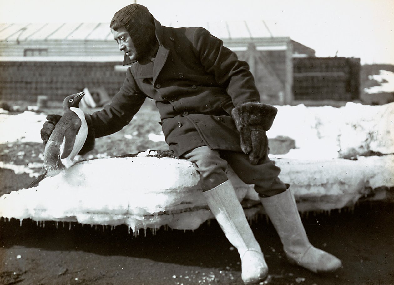 Homme avec un pingouin lors de l