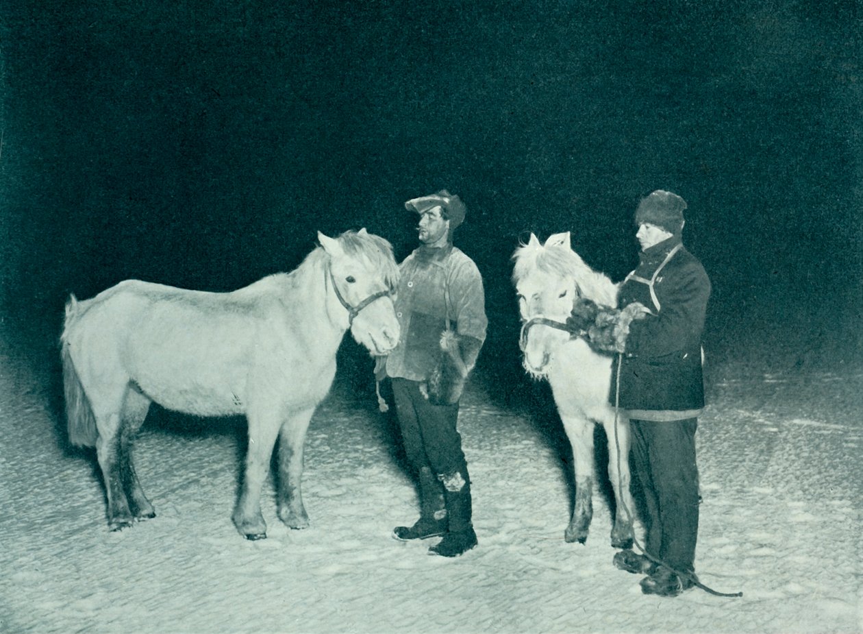 Officiers subalternes Crean et Evans exerçant leurs poneys en hiver, 1911 - Herbert Ponting