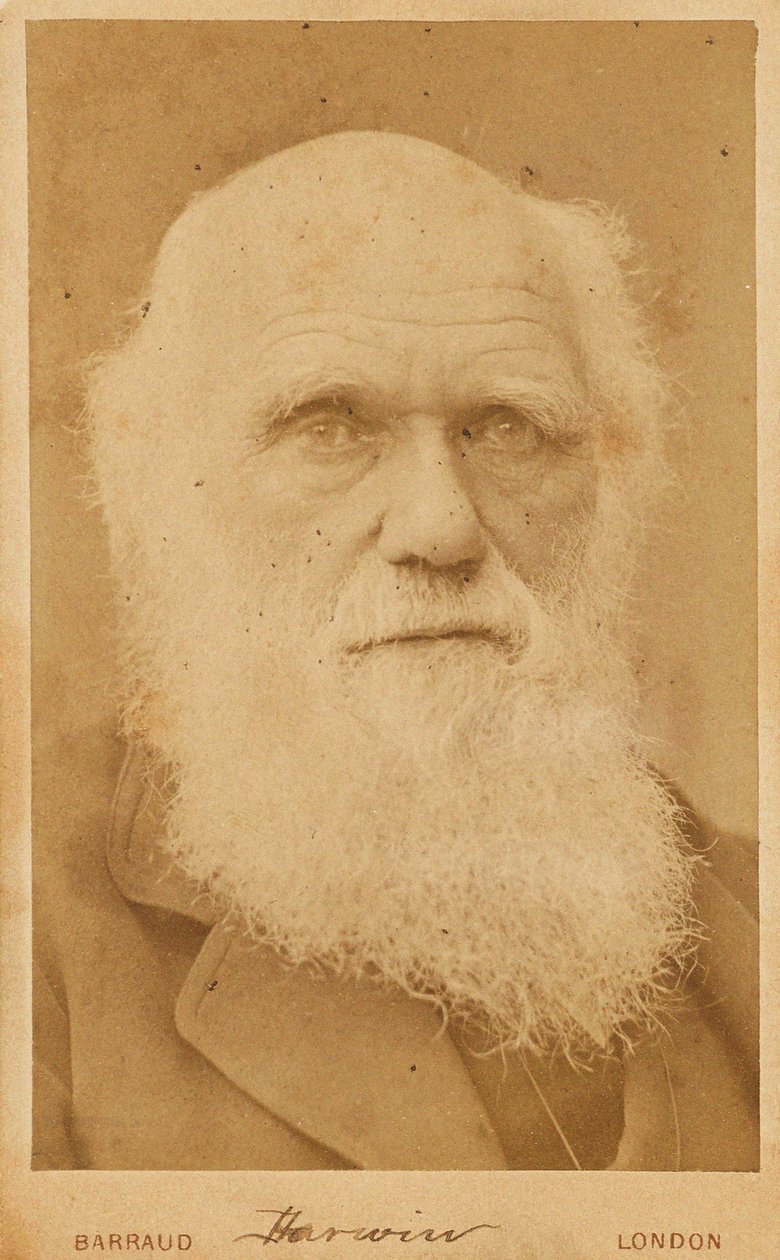 Portrait de Charles Darwin 1809-1882 - Herbert Rose Barraud