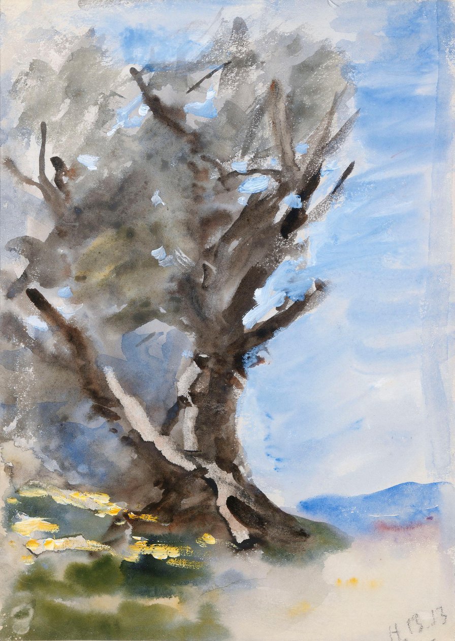 Un arbre - Hercules Brabazon Brabazon