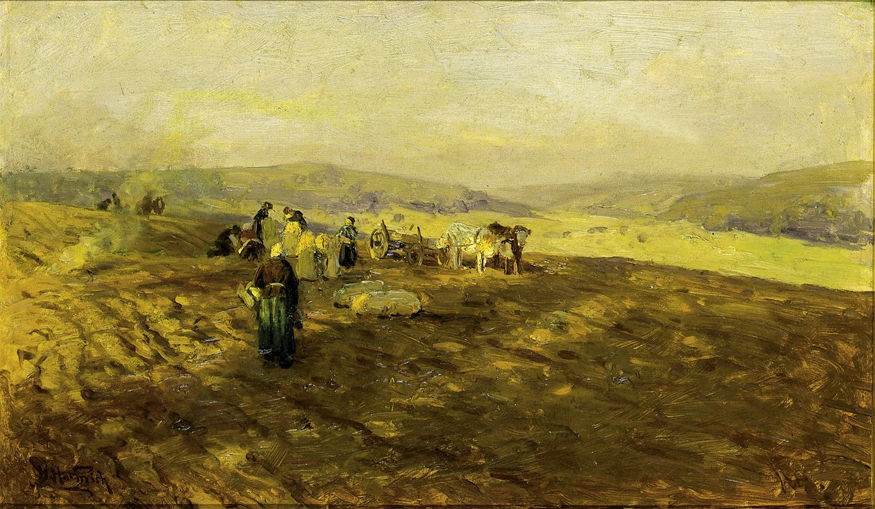 Les glaneurs de pommes de terre - Herman Hartwich