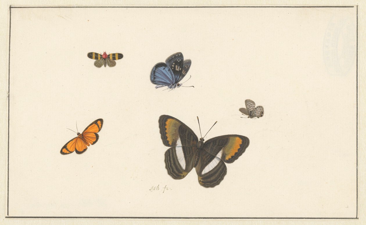 Cinq papillons - Herman Henstenburgh