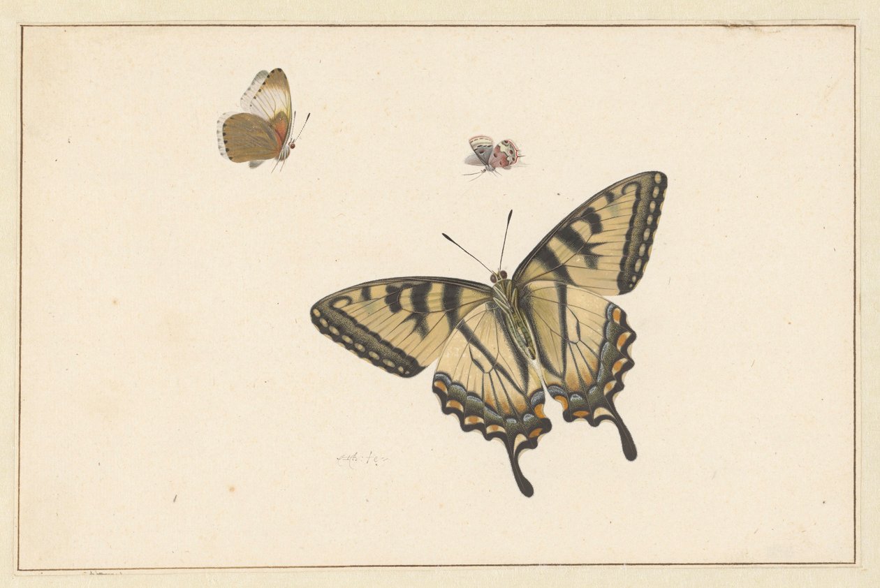 Trois papillons - Herman Henstenburgh