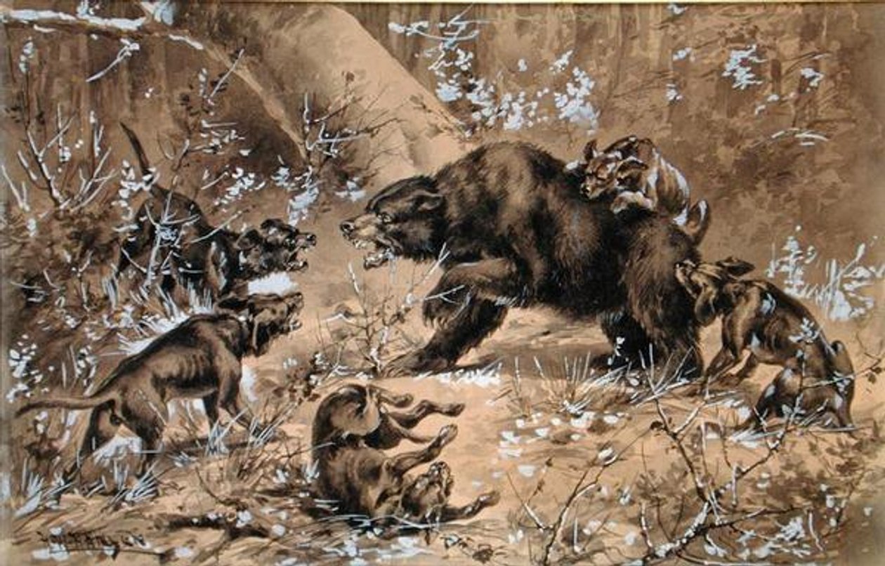 Chasse à l