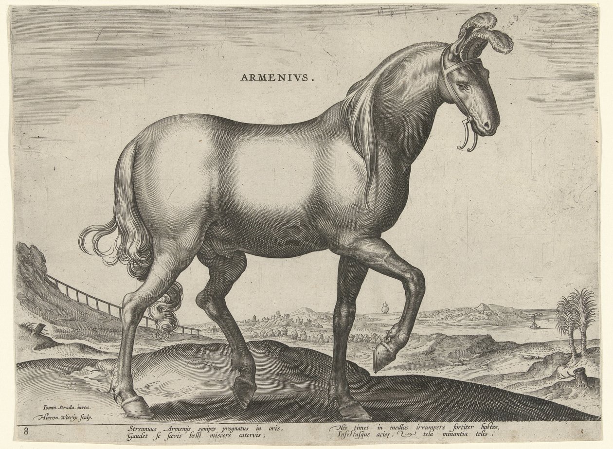 Cheval d
