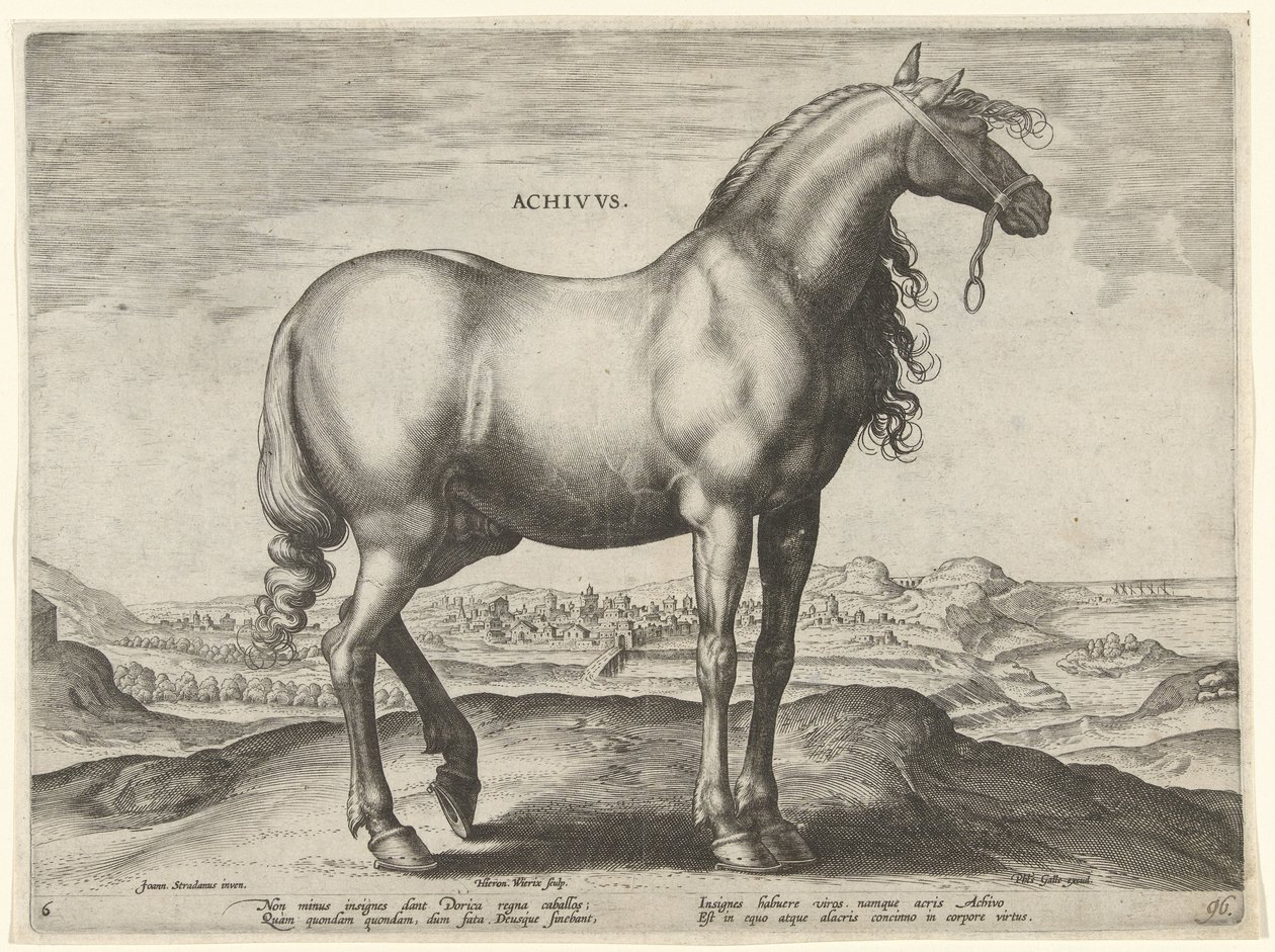 Cheval de Grèce (Achivus) - Hieronymus Wierix