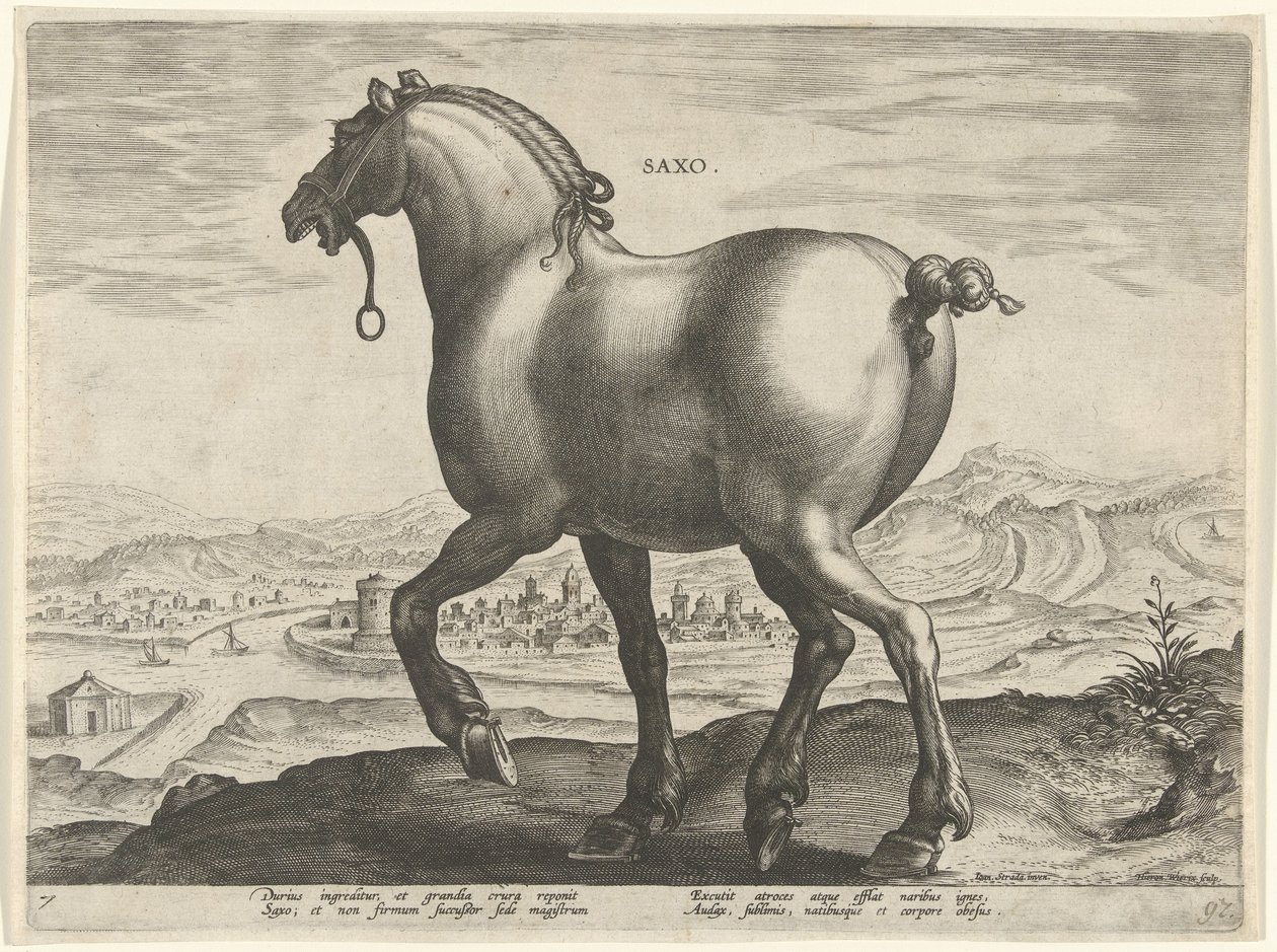 Cheval de Saxe - Hieronymus Wierix