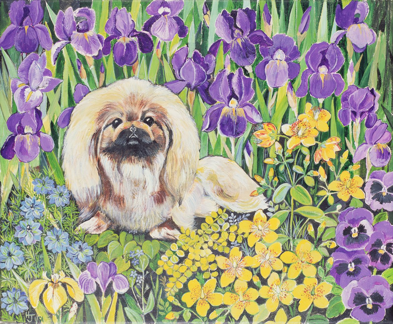 Wilma - Hilary Jones