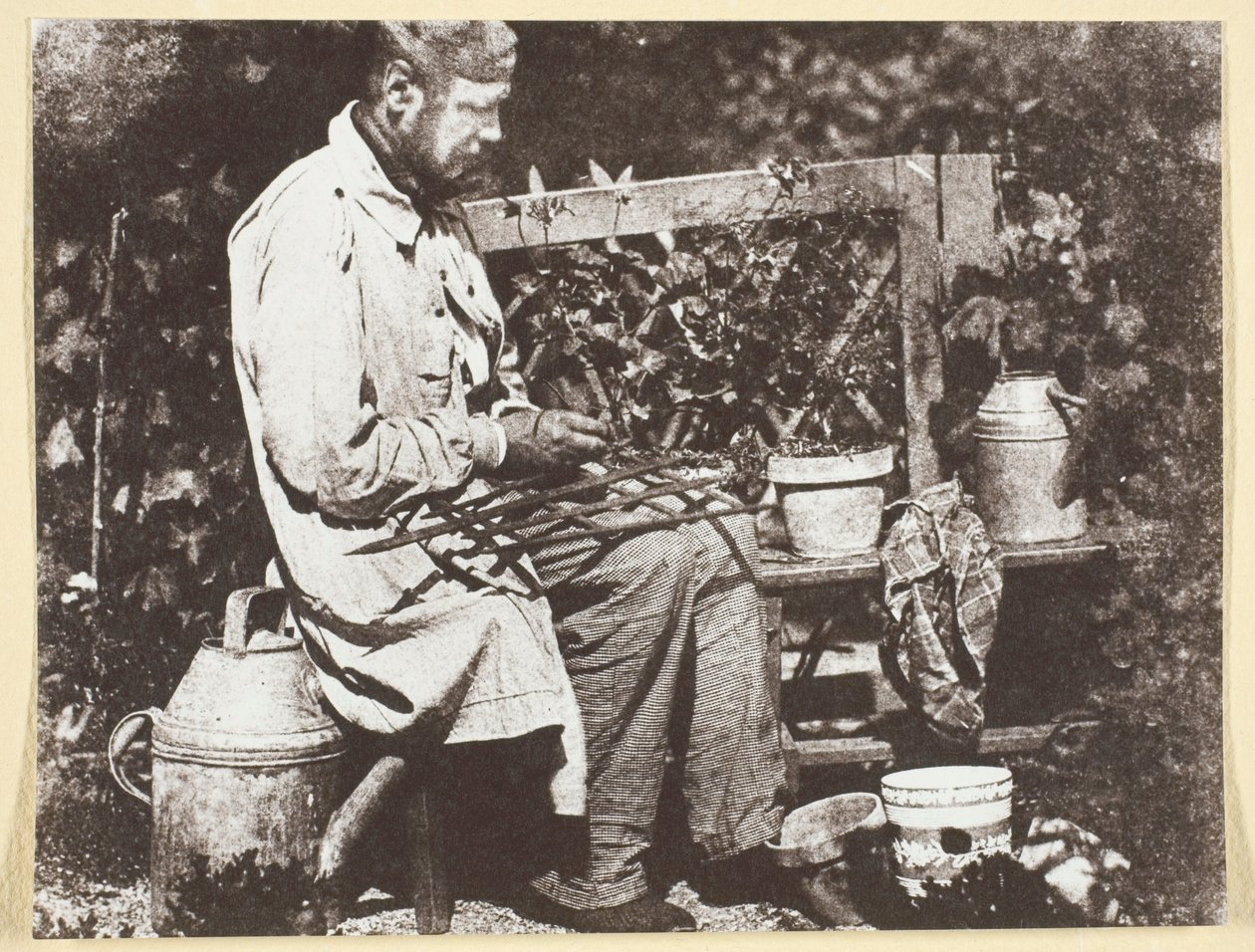 Bayard Jardinier - Hippolyte Bayard