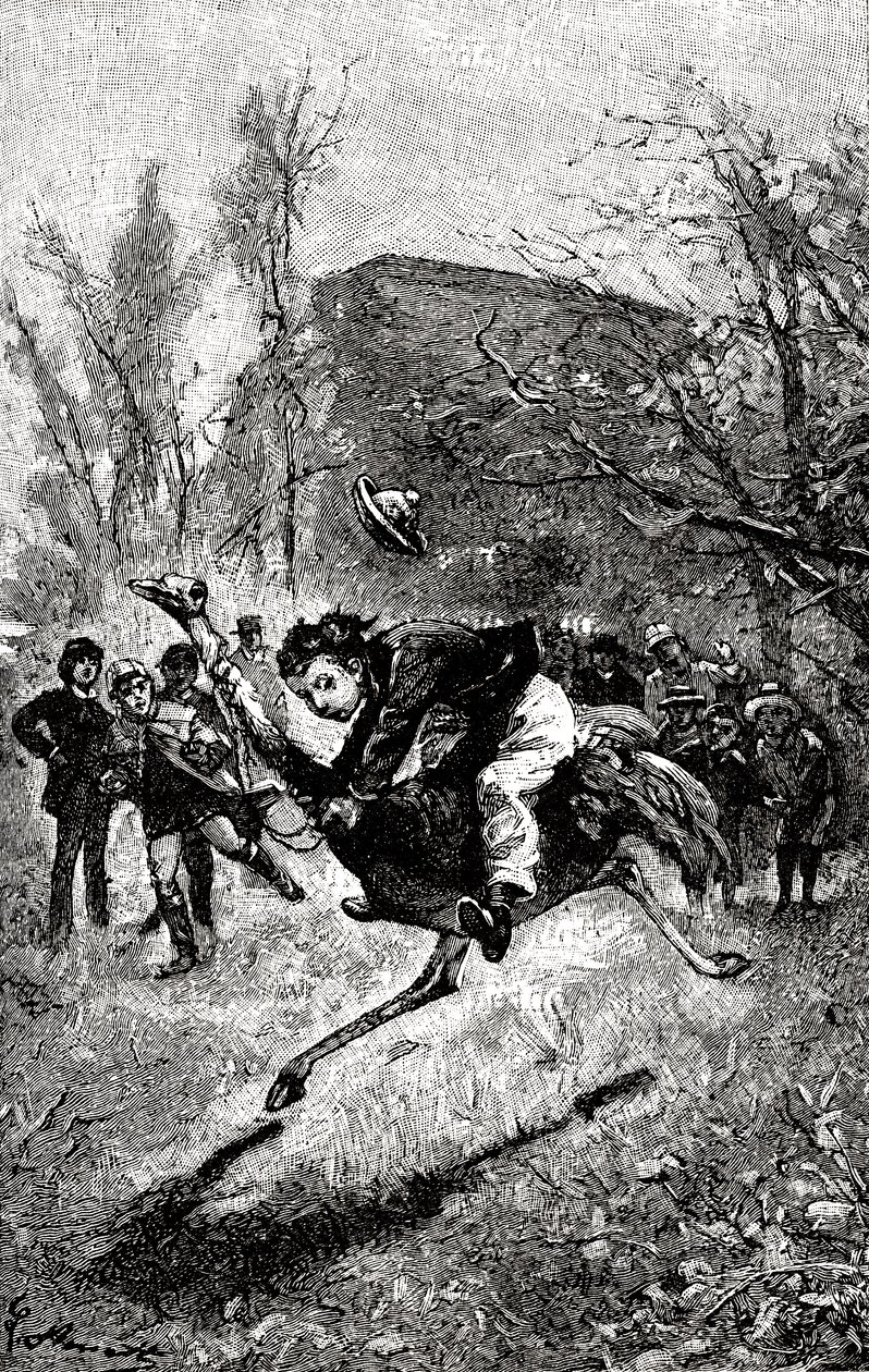 Le jeune Service chevauche une autruche. Gravure - Hippolyte Leon Benett