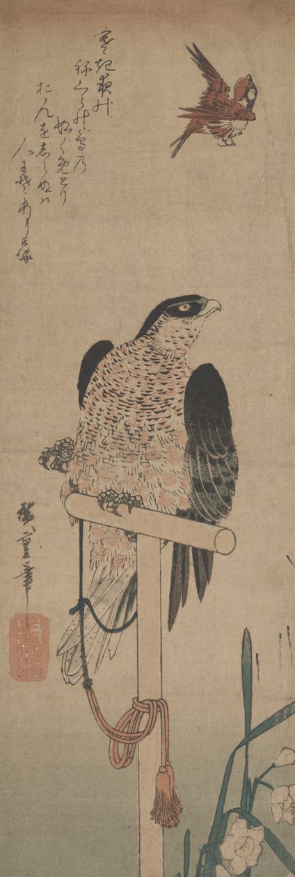 Faucon sur perchoir, moineau et narcisse - Hirokage Utagawa