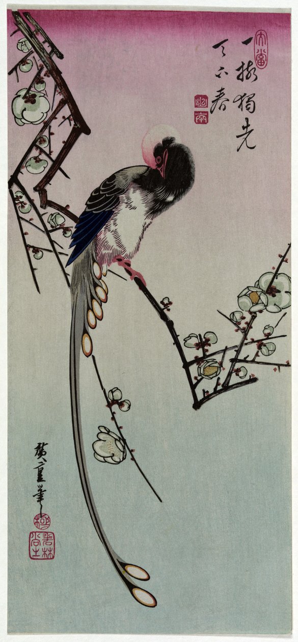 Ume ni Onagadori - Utagawa Hiroshige