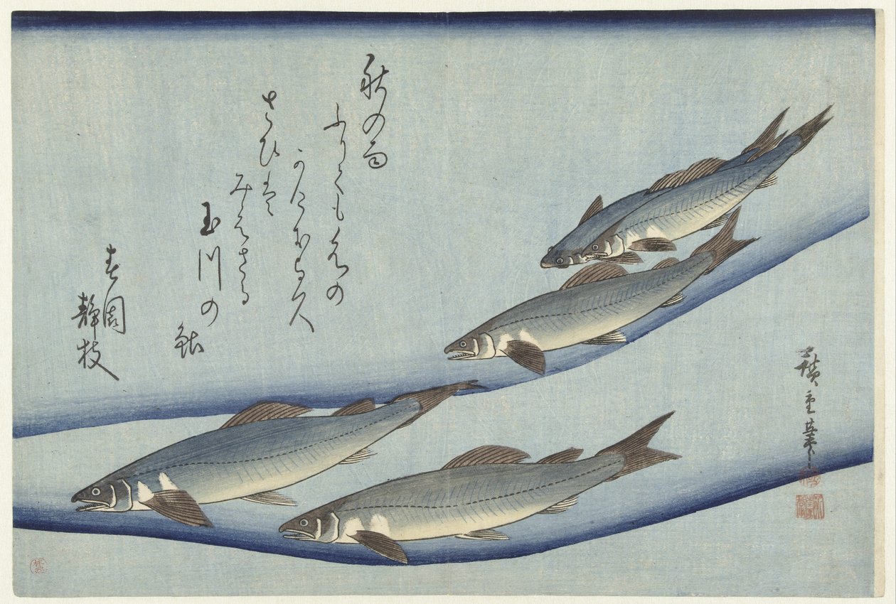 Truite - Hiroshige (I) , Utagawa