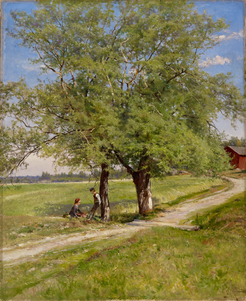 Saules fragiles - Hjalmar Munsterhjelm