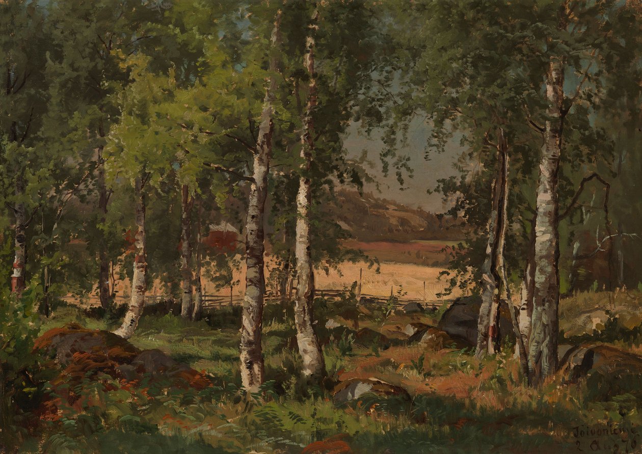 Paysage avec bosquet de bouleaux et champ de seigle - Hjalmar Munsterhjelm
