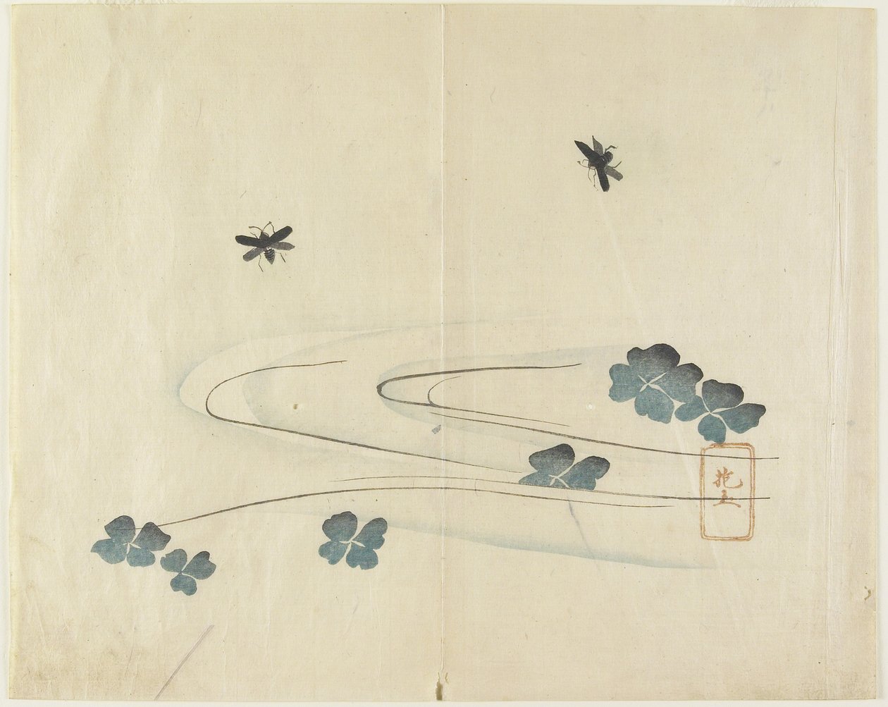 Insectes volant au-dessus de l