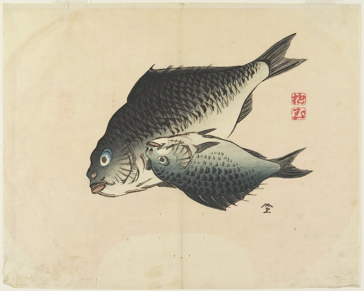 (Paire de poissons) - Hogyoku
